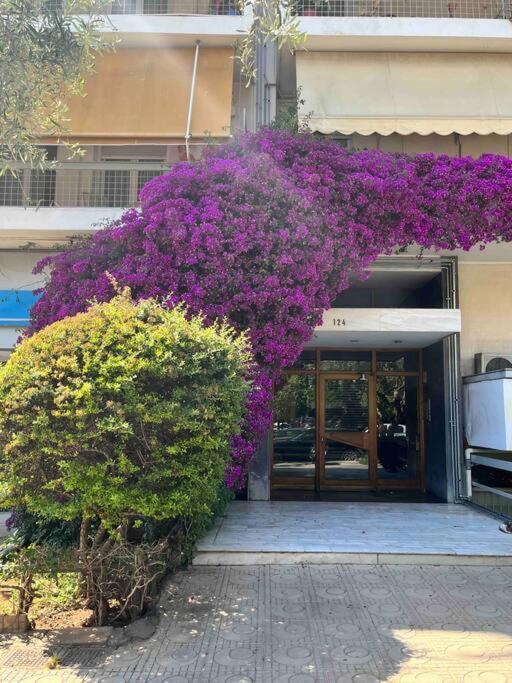 Bluexenia 1 Bedroom Retro Luxury 雅典 外观 照片